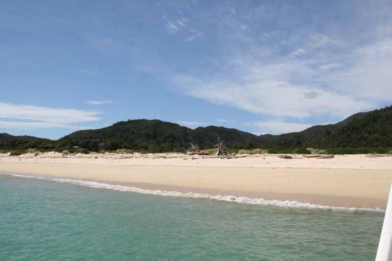 Nieuw-Zeeland 2011 - 1006